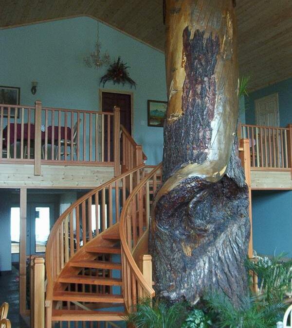 Tree and Stairs